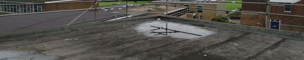 dakreparatie plat dak in Hillegom